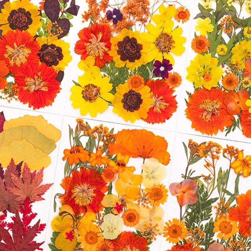 ดอกไม้กดแห้งสำหรับแม่พิมพ์เรซิ - Art Craft Flower บทวิจารณ์และราคา