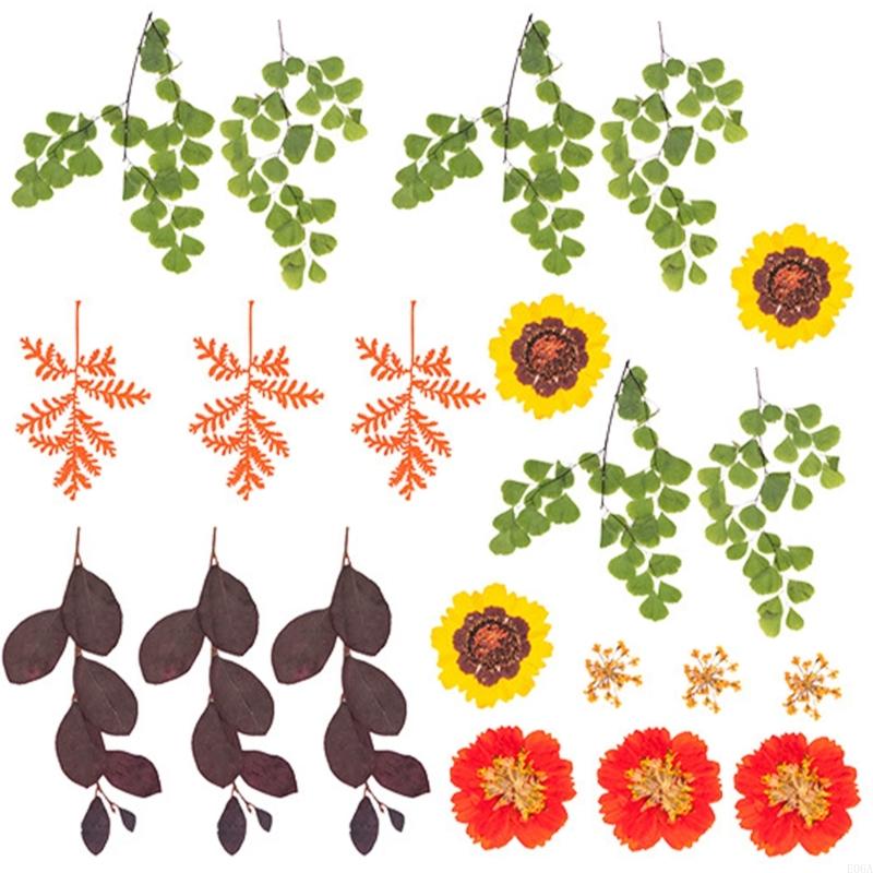 ดอกไม้กดแห้งสำหรับแม่พิมพ์เรซิ - Art Craft Flower บทวิจารณ์และราคา