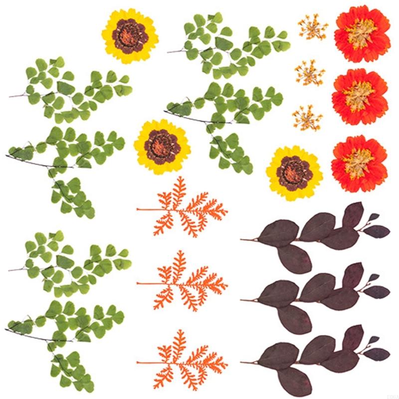 ดอกไม้กดแห้งสำหรับแม่พิมพ์เรซิ - Art Craft Flower บทวิจารณ์และราคา