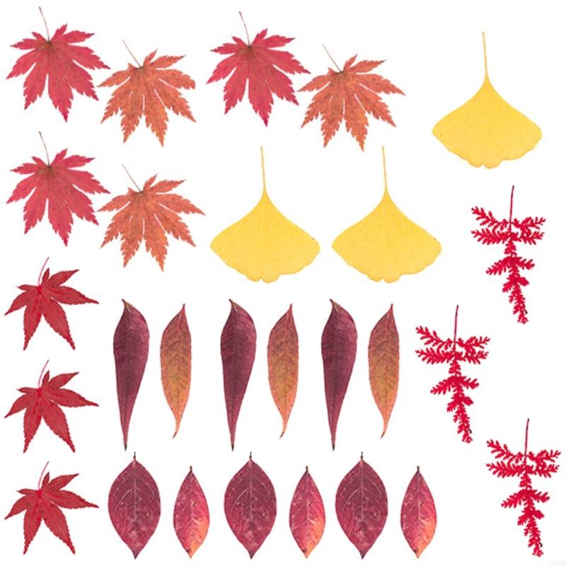 ดอกไม้กดแห้งสำหรับแม่พิมพ์เรซิ - Art Craft Flower บทวิจารณ์และราคา
